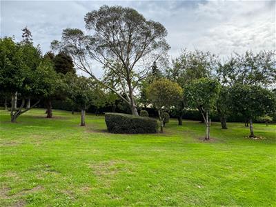 Picture 24